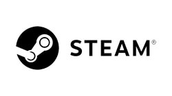 Steam Key einlösen