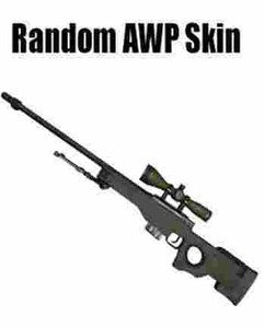 Counter Strike: Global Offensive Random AWP Skin Code kaufen 