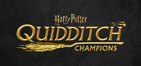 Harry Potter - Quidditch Champions Key kaufen